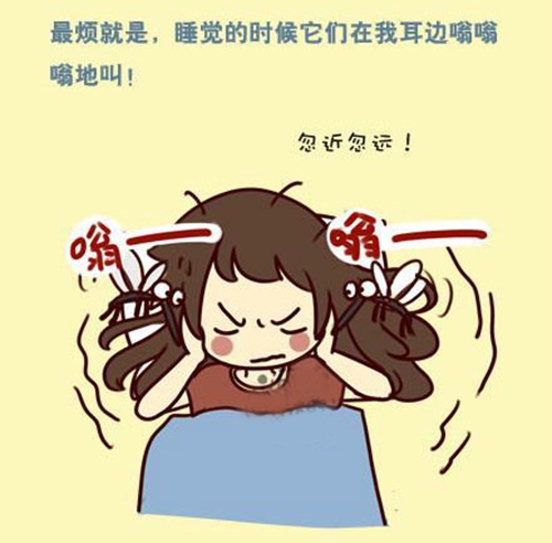 蚊子醒了！快走进纱窗世界，远离蚊虫so easy！