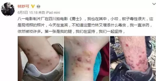 初夏蚊虫飞舞，一扇纱窗守护你家