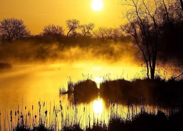 白露：八月节。